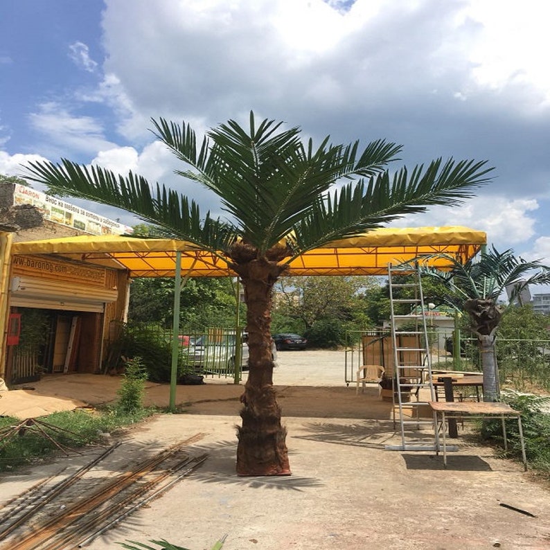 Customized Artificial Palm Trees 4m Height Evergreen Palms Etsy