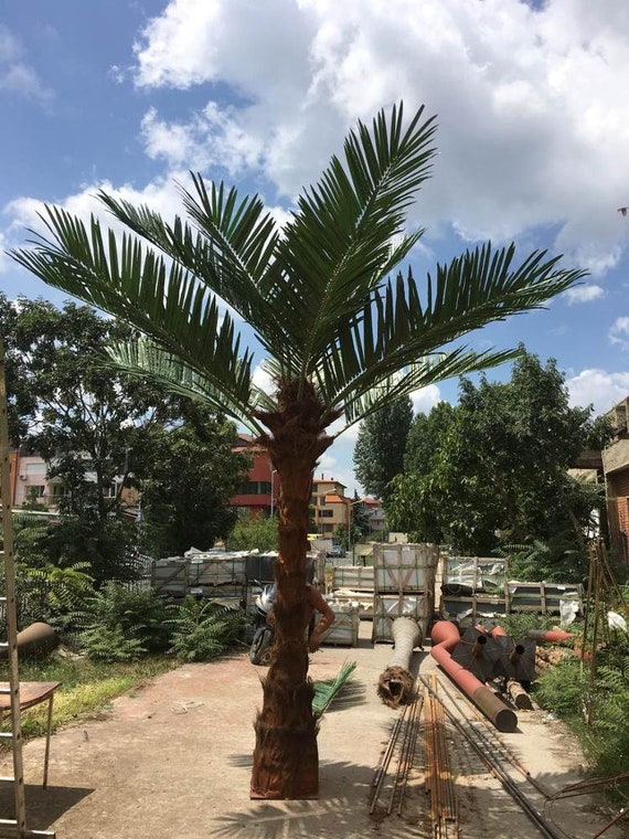 Customized Artificial Palm Trees 4m Height Evergreen Palms Etsy Canada