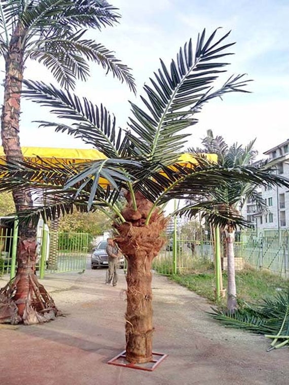 Long Life Outdoor Palm Tree Artificial, Large Fake Palm Trees Outdoor