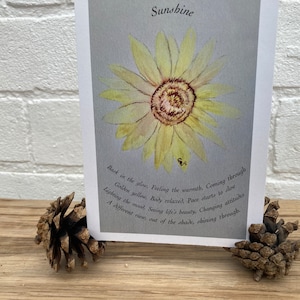 Impression écologique et recyclée : carte postale A6 oeuvres d'art originales et poésie tournesol