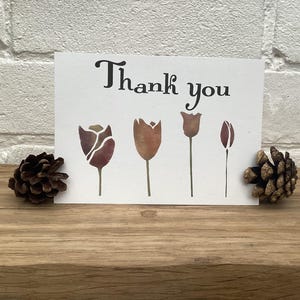 Thank you tulips