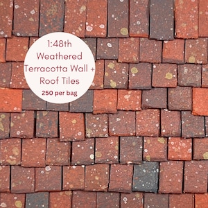 Può includere: Tetti e pareti in terracotta invecchiati in scala 1:48. 250 tegole per sacchetto. Le tegole sono di colore marrone rossiccio con macchie bianche e gialle.