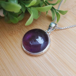 PLNT#204 | Unique Purple Amethyst Necklace Pendant With Silver Chain Necklace |Sterling Silver Amethyst Pendant Necklace | Simple Pendant