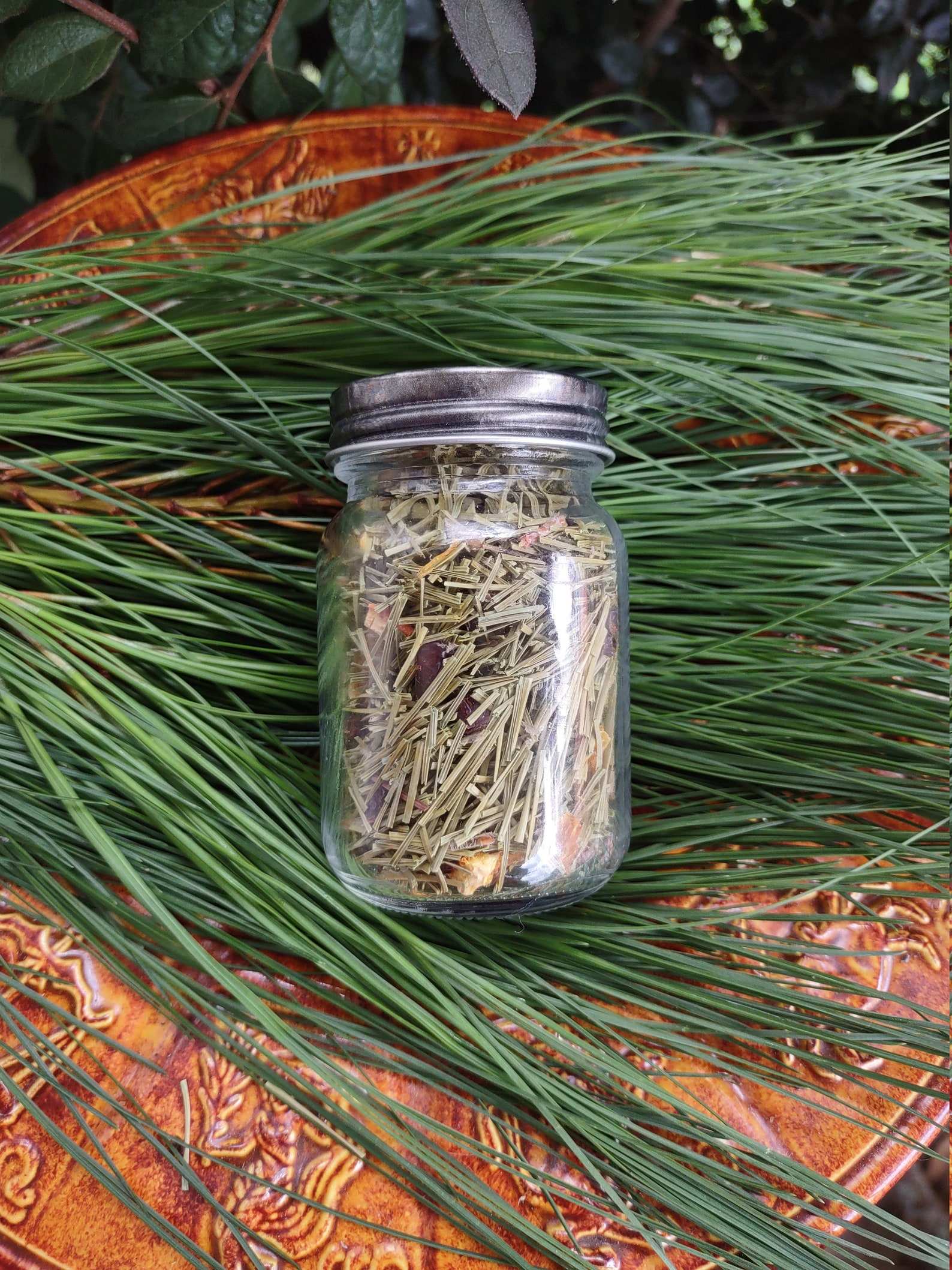 Eastern Pine Needle Tea Appalachian Pine Needle Tea Pine Etsy