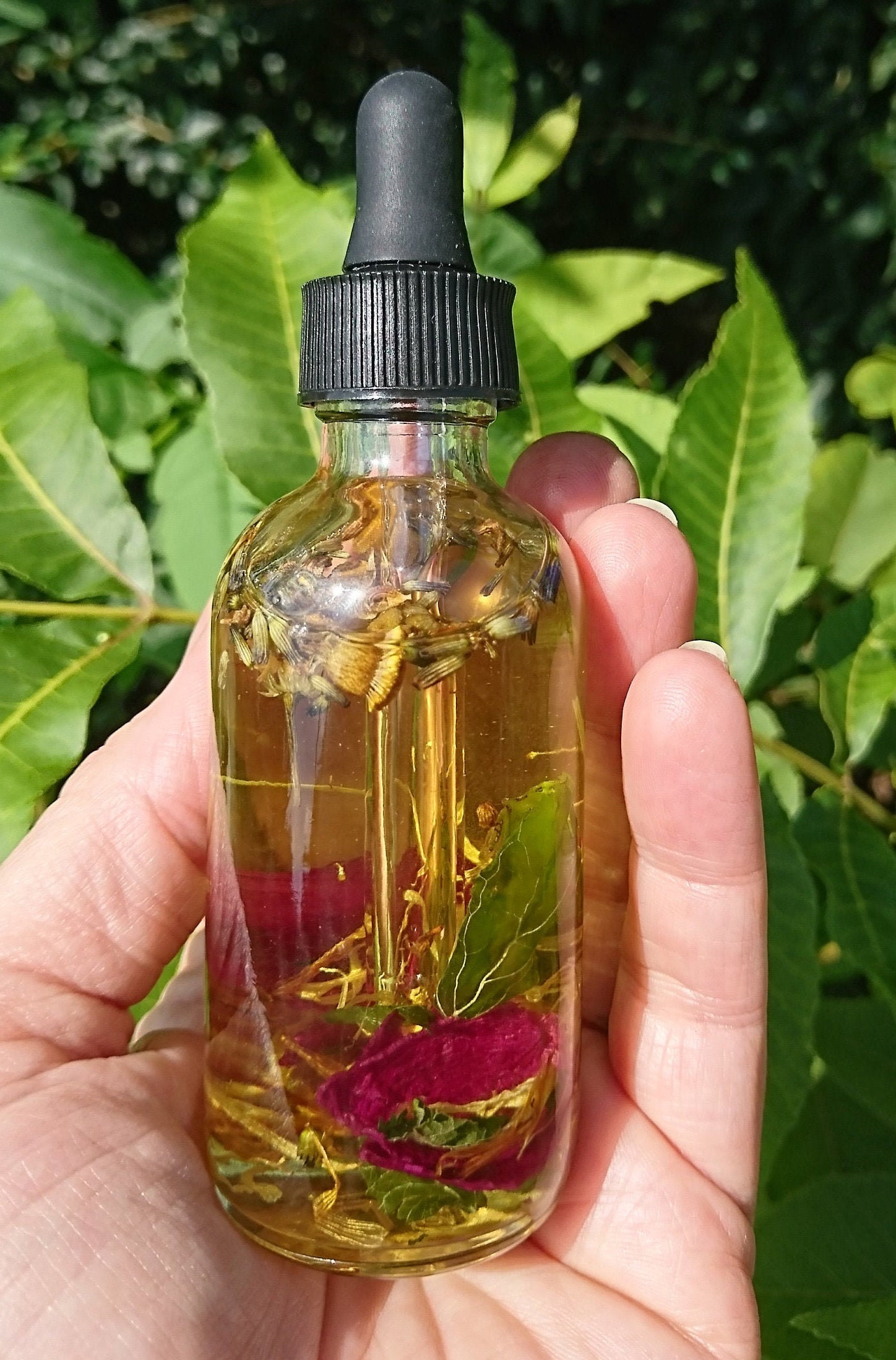 Yoni Oil Organic Yoni Oil Herb Infused Oil All Natural Yoni Etsy
