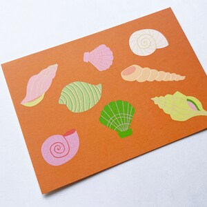 Cartolina con conchiglie colorate