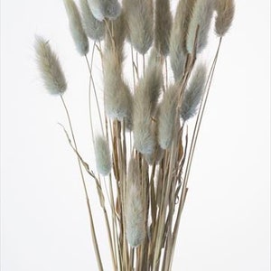 Peut inclure: Un bouquet de pampas séchées avec des plumes légères et grises. Les tiges sont de couleur brun naturel.