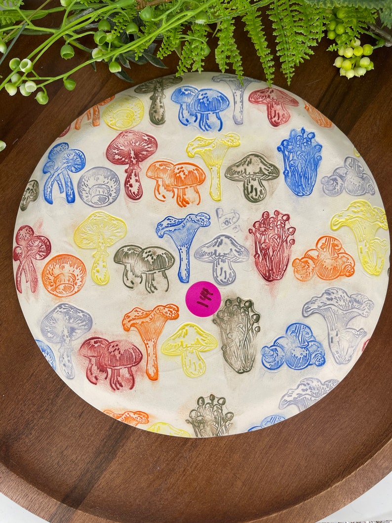 Rainbow Mushroom Plates, Handmade Ceramic Ready to Ship image 10