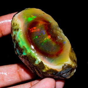 Peut inclure: Une pierre précieuse opale brute et non polie présentant une surface translucide et brillante avec des éclats vibrants de rouge, de vert et de bleu. La pierre possède une croûte extérieure sombre, terreuse et texturée entourant un centre poli.