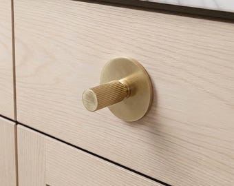 Brass Modern Cabinet Knob with Backplate - EXCLUSIVE