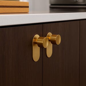 Mid-Century Modern Brushed Brass Concave Cabinet Knob with Backplate