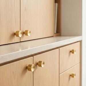 Brushed Brass Gold Concave Knob: Mid Century Modern Cabinet Hardware