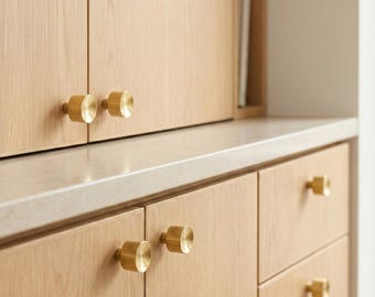 Brushed Brass Gold Concave Knob: Mid Century Modern Cabinet Hardware