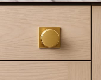 Camden Brushed Brass Knob with 1.5 inch Backplate - Solid Brass Modern Design