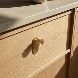Mid-Century Modern Brushed Brass Concave Cabinet Knob with Backplate EXCLUSIVE