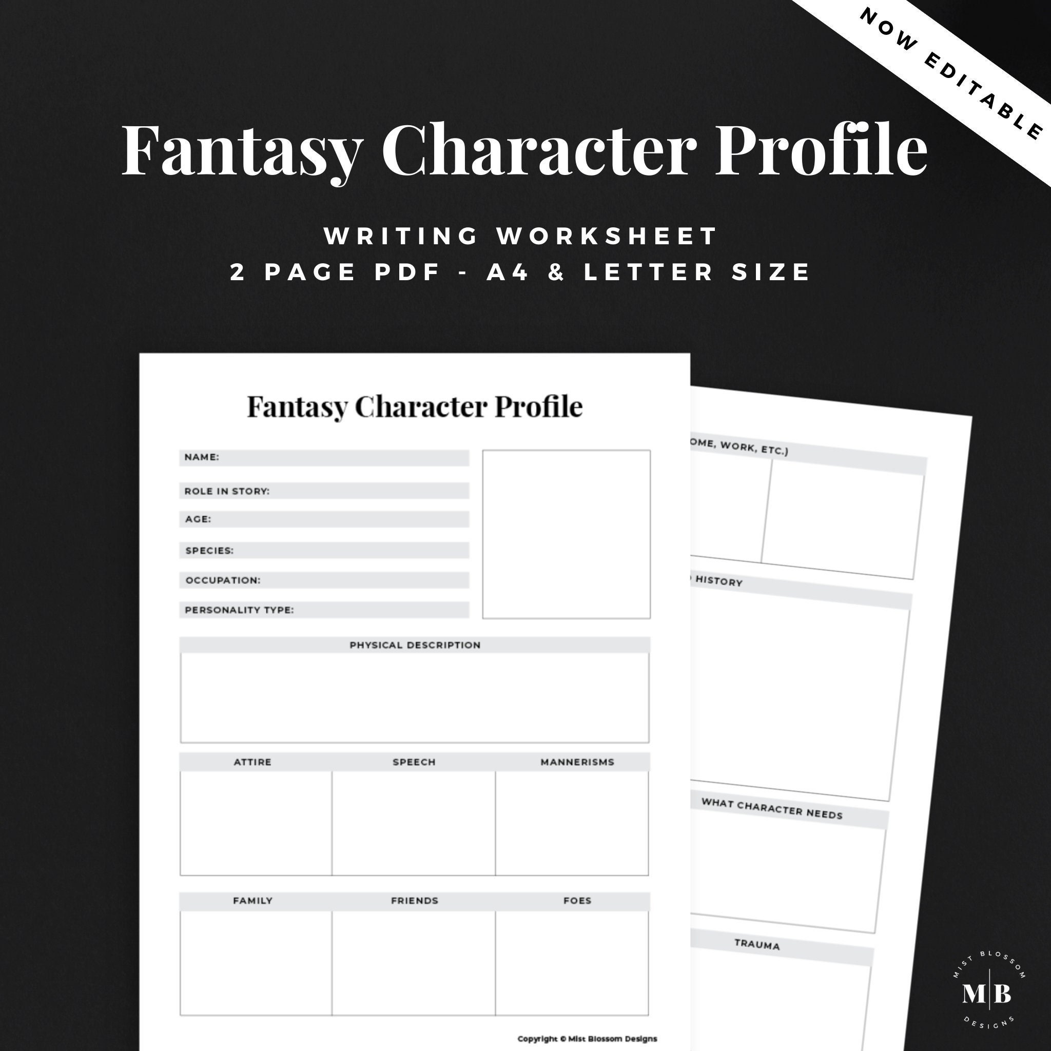 Fantasy Character Profile Writing Worksheet Character Etsy