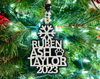 Family Names Wood Christmas Ornament 3d Customized