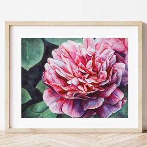 Peony Flower Watercolor Painting Archival Giclee Print, Flower Art Print, Peony Art