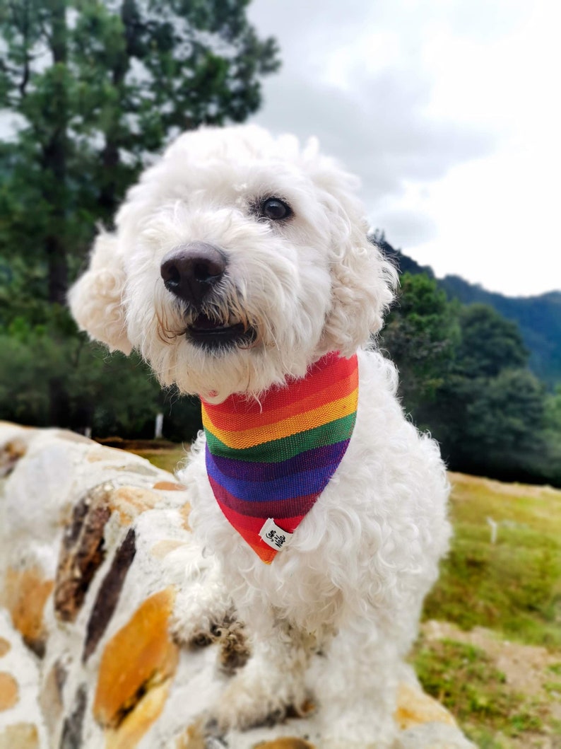 and Large Dog Bandana LGBTQ Pride Dog Bandana -Small Handmade Dog Bandanas- Over the Collar Dog Bandana- LGBTQ Dog Bandana Medium