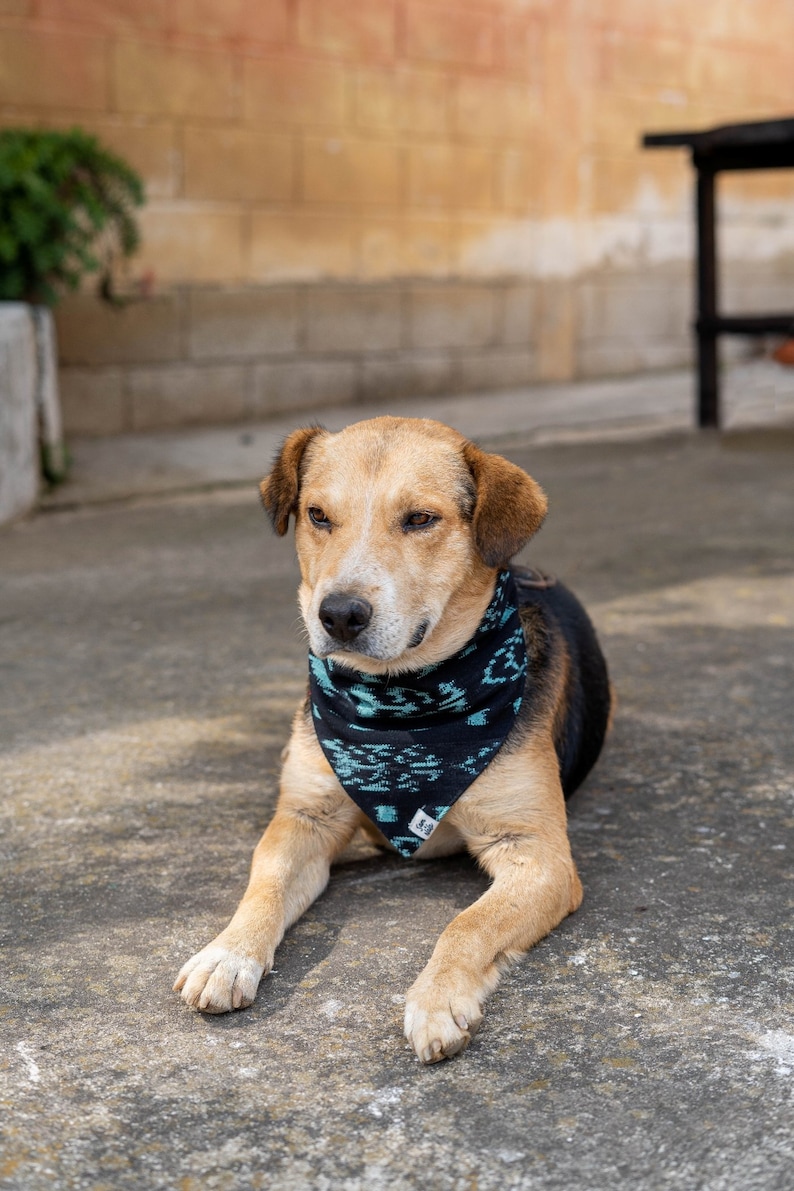 Azteken Hund Bandana Herbst Hund Bandana Winter Hund Etsy