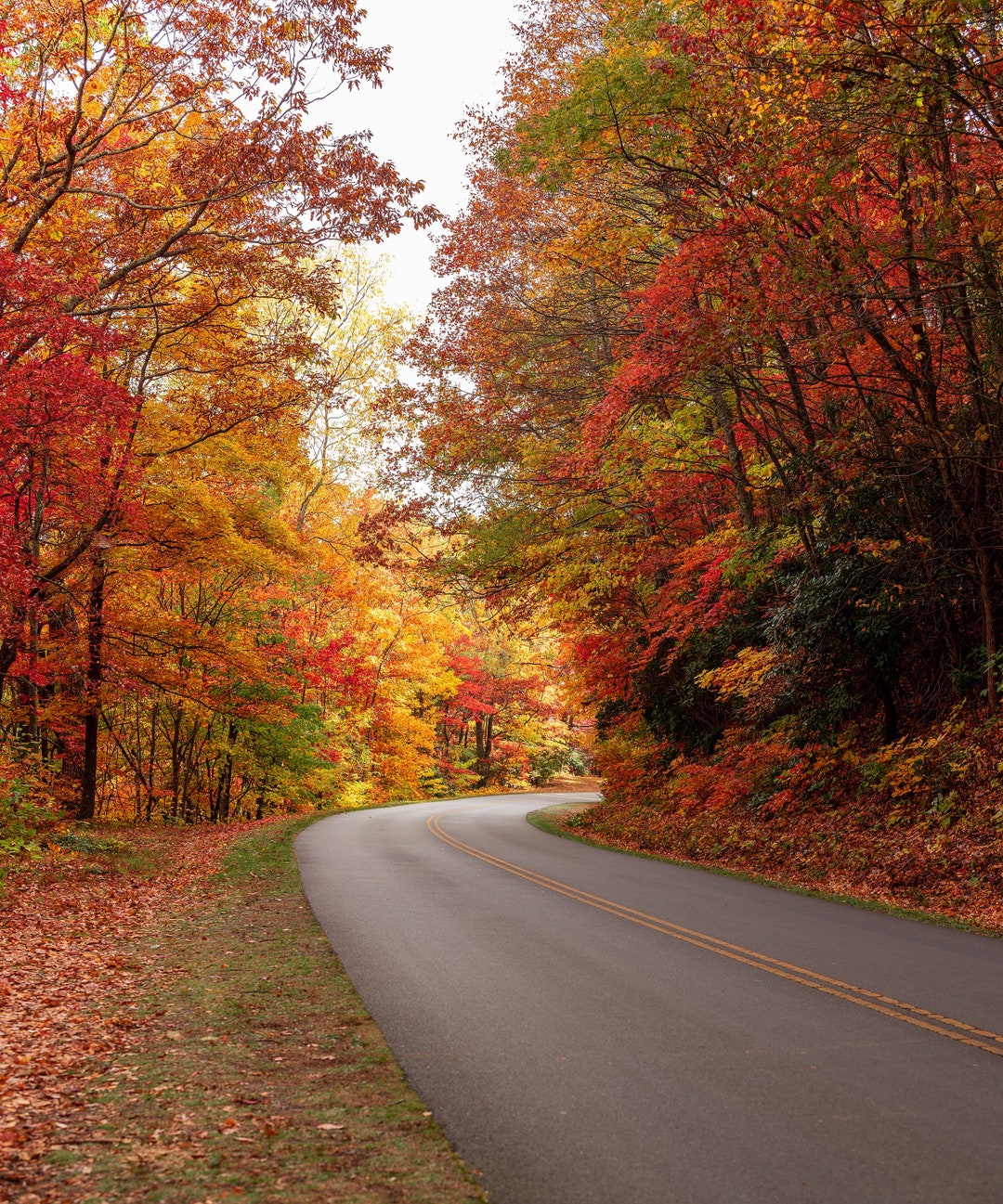 Fall at Blueridge Parkway - Etsy