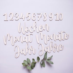 Baby - Meilenstein - Schilder (16 Teile), Meilensteinkarten, Schrift aus Holz, Geburtstag, Made in Germany
