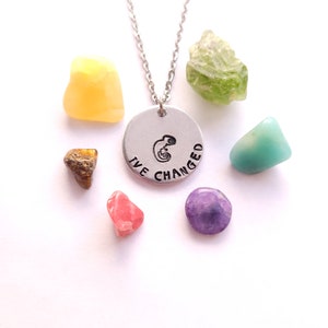 I've Changed Chameleon Necklace, Gay, Transgender, Bisexual, Pride Jewelry, 18" Stainless Steel Chain