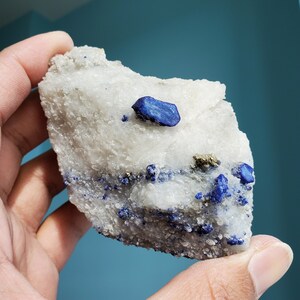 Lazurite & Pyrite on Marble Matrix || Extremely Rare Royal Blue Lazurite Crystals || Gorgeous Aesthetic Collector's Specimen