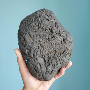 4.3kg CINTAMANI || Extremely Detailed Texturing || New Mystery Cintamani Stone! || Opaque Variant || Exclusive Collector's Edition
