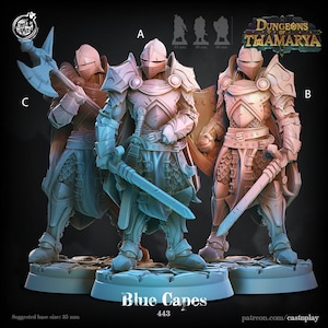 May include: Three blue-caped, fully armored knights with swords and shields. The knights are posed in a fighting stance. The image is labeled "Blue Capes 443" and "Dungeons of Thamarya".