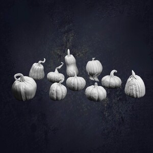 May include: A collection of ten white, unpainted pumpkin figurines of varying shapes and sizes, each featuring detailed vertical ridges and distinct stems, arranged in a cluster against a dark, textured background.