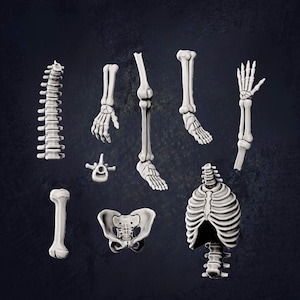 Human Skeleton Parts Scatter D&D RPG Miniature - La Louve 3D (Dungeons and Dragons, Pathfinder, Wargaming, Tabletop Games)