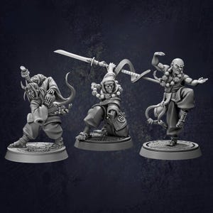Shaolin Monks - D&D RPG Miniature Cast N Play (Dungeons and Dragons, Pathfinder, Wargaming, Tabletop Games)