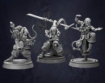 Shaolin Monks - D&D RPG Miniature Cast N Play (Dungeons and Dragons, Pathfinder, Wargaming, Tabletop Games)
