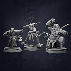 Fighting Monks - D&D RPG Miniature Cast N Play (Dungeons and Dragons, Pathfinder, Wargaming, Tabletop Games)