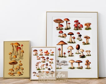 SET of 3 Downloadable Vintage Scientific Mushrooms Prints, Adolphe Millot Style | Botanical Digital Poster | SET 5