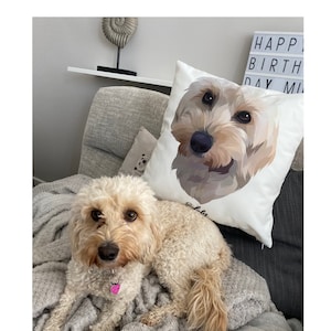 Personalise Cushion - Pet Pillow - Best Dog Gift - Pet Sympathy Gift (Any Colour)