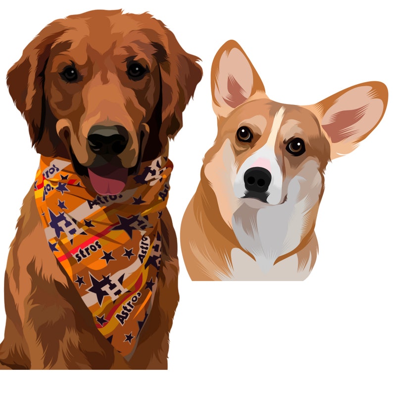 Puede incluir: Un perro golden retriever con un pa&ntilde;uelo con el logotipo de un equipo de b&eacute;isbol y un corgi mirando a la c&aacute;mara.