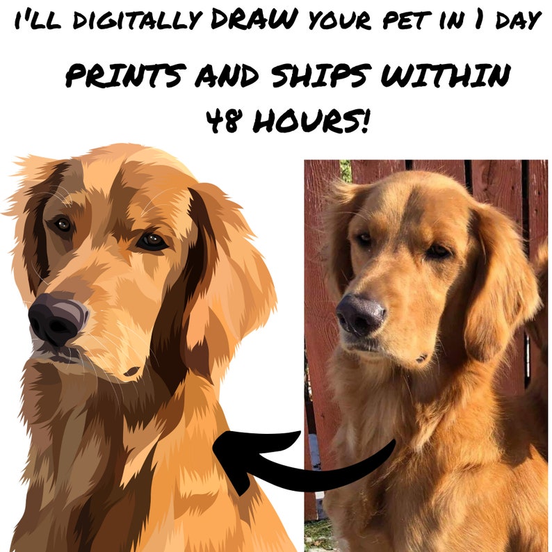 Puede incluir: Una ilustraci&oacute;n digital de un perro golden retriever con un estilo realista. La ilustraci&oacute;n est&aacute; junto a una foto del mismo perro. El texto "I'll digitally draw your pet in 1 day Prints and ships within 48 hours!" est&aacute; en la parte superior de la imagen.