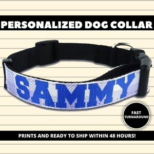Name Dog Collar | Custom Dog Collar | Personalized Dog Collar | Dog Lover Gift | Safety Dog Collar | Personalised Dog Collar