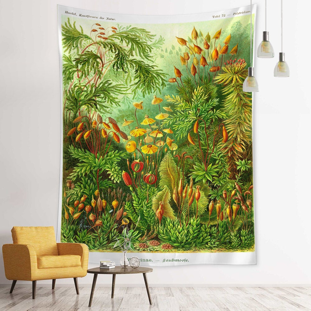 Tropical Tapestry Jungle Rainforest Plants Illustration by photo image pic