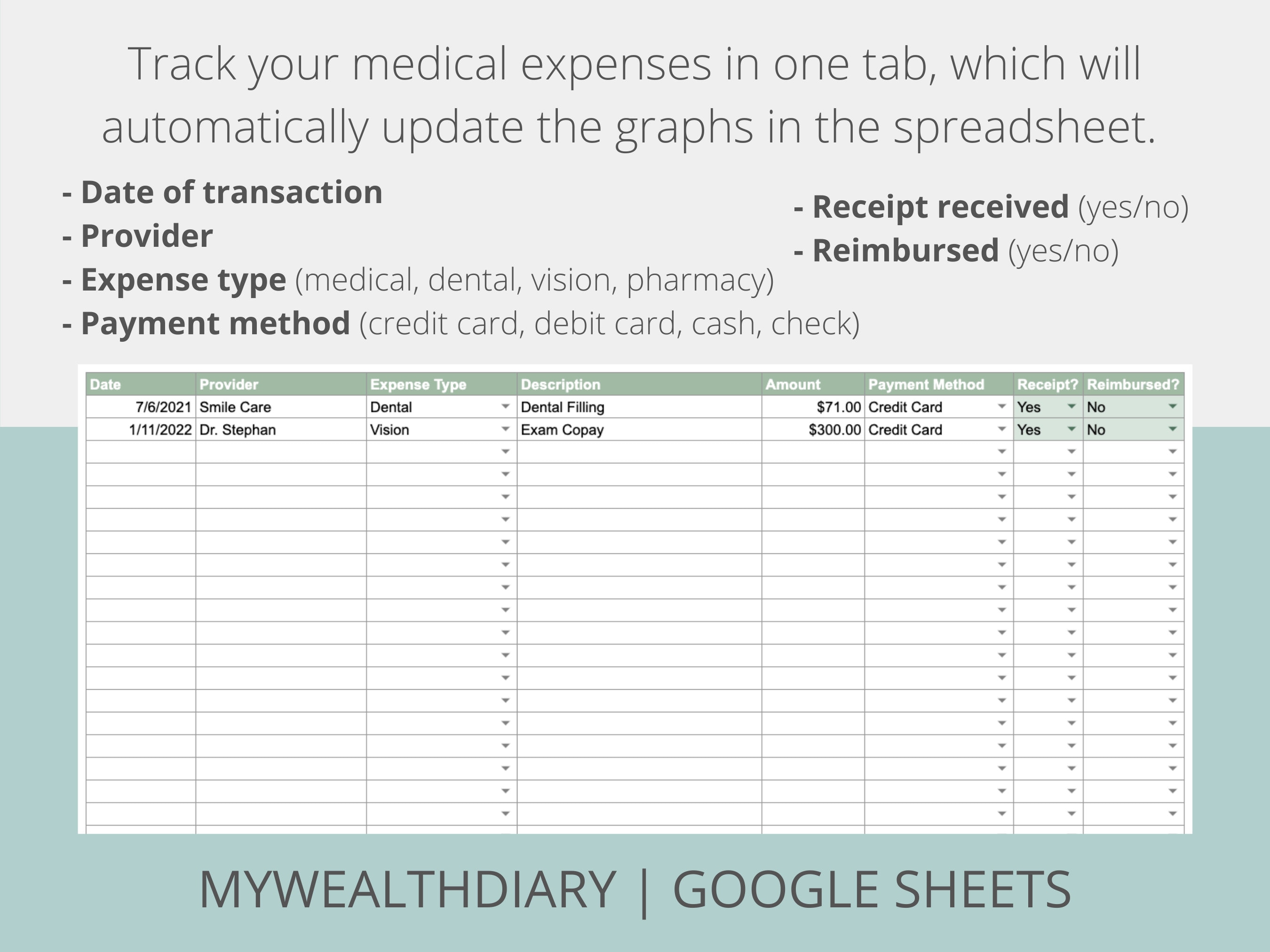 HSA Expense Tracker Google Sheets Etsy