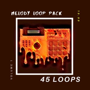 Puede incluir: Un sampler digital con un diseño naranja y rojo ardiente. El texto "MELODY LOOP PACK VOLUME 1" y "45 LOOPS" es visible. El precio es de 19,99 €.