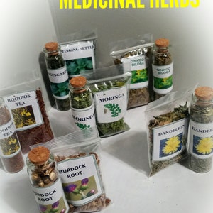 ORGANIC Medicinal Healing Herbs 6 Vial Pack + REFILLS + FREE Tea Bags | Stinging Nettle/Moringa/Burdock /Gingko Biloba/Dandelion/Rooibos
