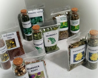 ORGANIC Medicinal Healing Herbs 6 Vial Pack + REFILLS + FREE Tea Bags | Stinging Nettle/Moringa/Burdock /Gingko Biloba/Dandelion/Rooibos