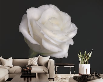 Black photo wallpaper with white rose | Self adhesive | Peel & Stick | Repositionable removable wallpaper