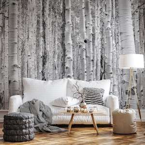 Black and white birch tree forest wallpaper| Self adhesive | Peel and Stick | Repositionable removable wallpaper