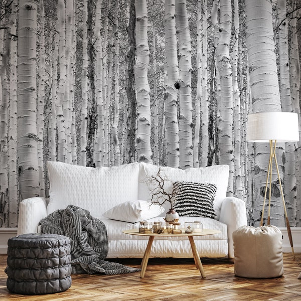 Black and white birch tree forest wallpaper| Self adhesive | Peel and Stick | Repositionable removable wallpaper