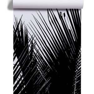 Black and White Summer Palm Leaves Wallpaper | Self Adhesive | Peel ...