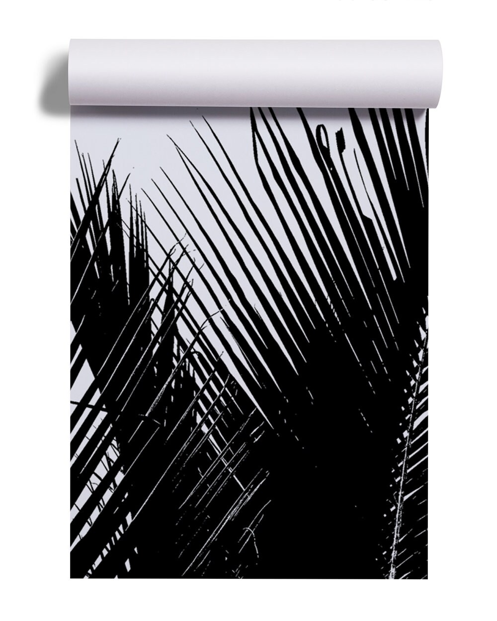 Black and White Summer Palm Leaves Wallpaper | Self Adhesive | Peel ...